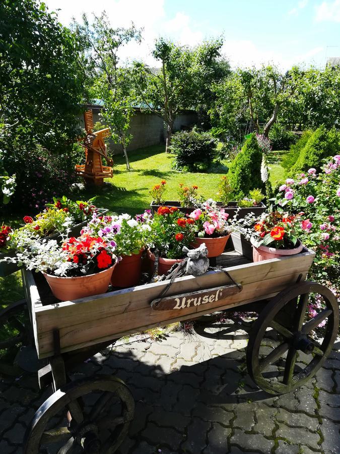 Urusel Guesthouse Tallinn Kültér fotó